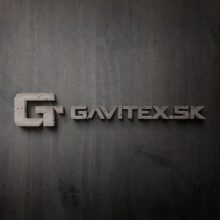 gavitex_logo